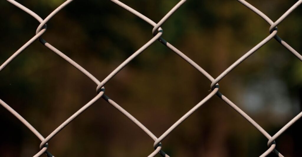 This image captures a close-up view of a chain link fence with a blurred natural background, creating a sense of depth and focus.