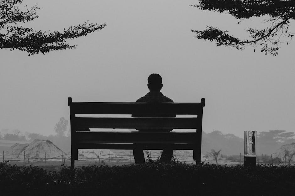 Silhouette of a man sitting alone on a bench in Dhaka park under tree branches, capturing solitude.